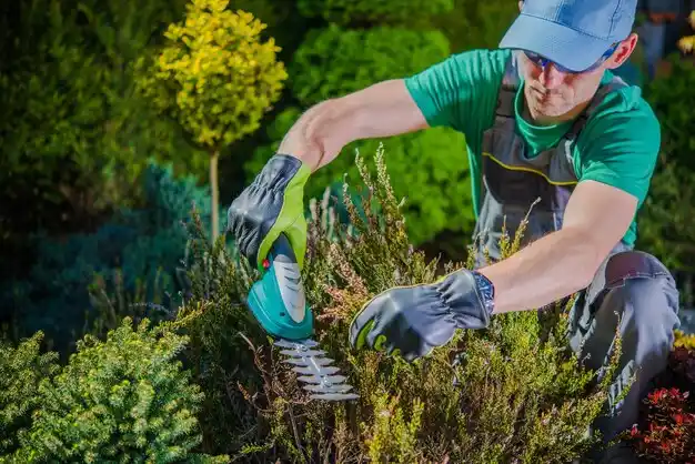 landscaping services Stromsburg